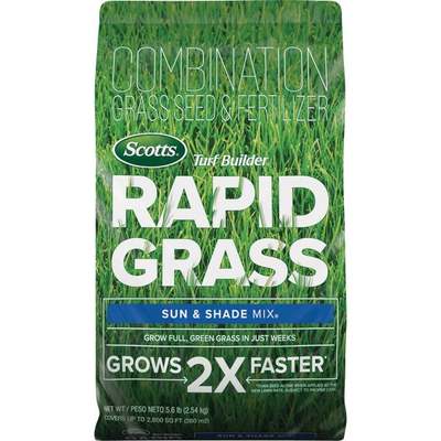 5.6# Rpd Ss Grass Seed
