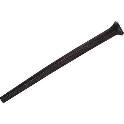 1lb 8D 2-1/2 Cut Masonry Nail