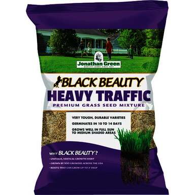 25LB HEAVY TRAFFIC SEED