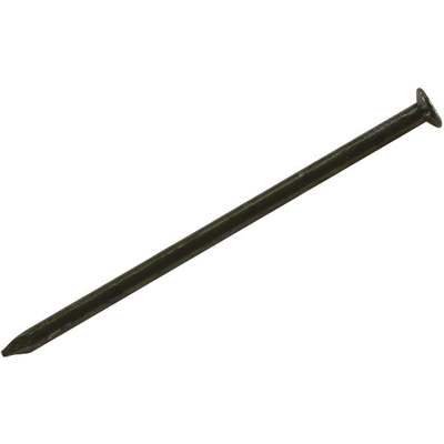30lb 16D Coated Sinker Nail