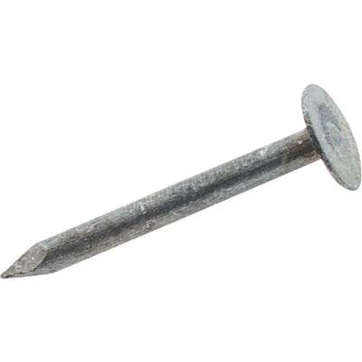 NAILS ROOFING 1" 1LB
