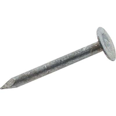 NAILS ROOF 1-1/4" 1LB