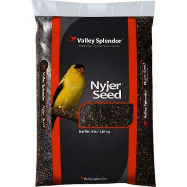 4# NYJER SEED