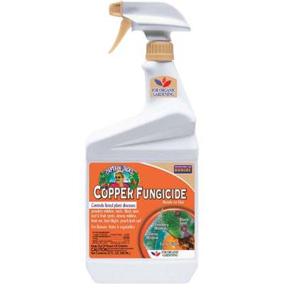 QT RTU COPPER FUNGICIDE