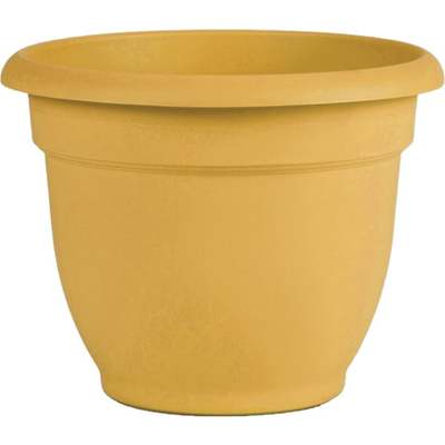 6" YLW ARIANA PLANTER