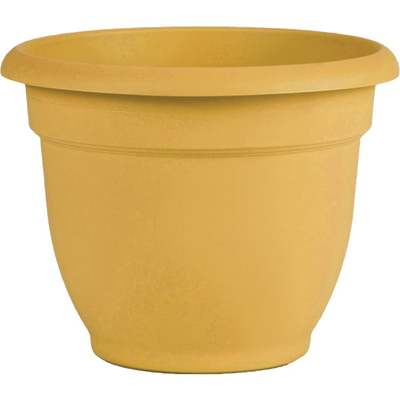 8" YLW ARIANA PLANTER