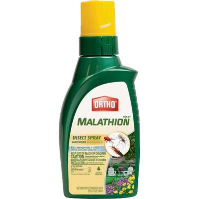INSECTICIDE MALATHION 50+ 32OZ