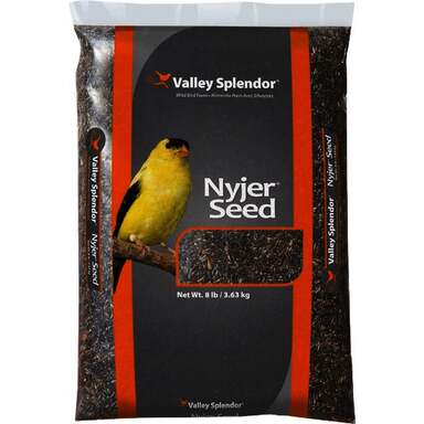 8# NYJER SEED