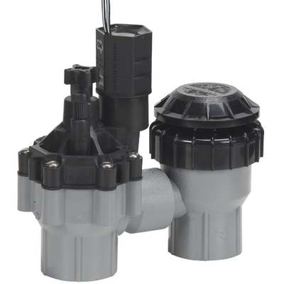 3/4 Anti-Siphon Valve