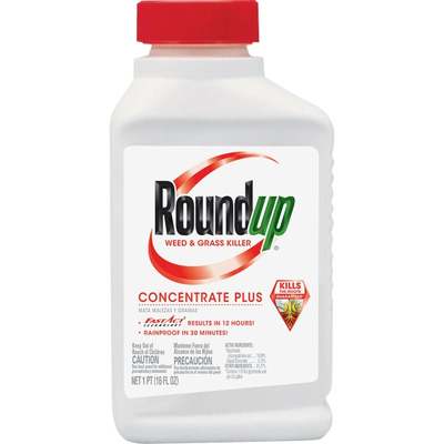 PT CONC PLUS ROUNDUP