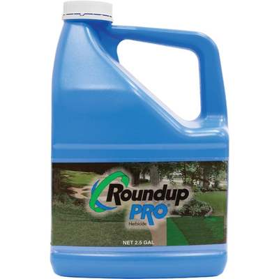 *CONC ROUNDUP 2.5GAL 41%