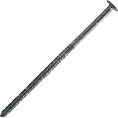 5LB 2-1/2" SIDING NAIL