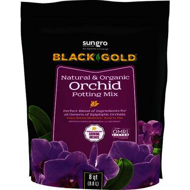 BLACK GOLD ORCHID MIX 8QT