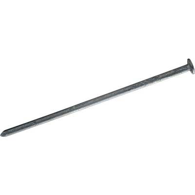 5LB 2-1/2" SIDING NAIL