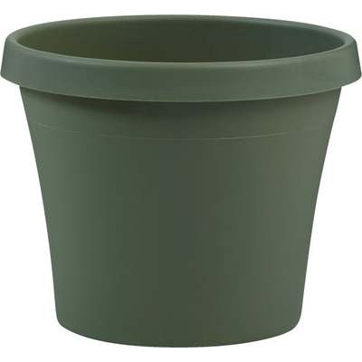 12" LIVNG GREEN POLY POT