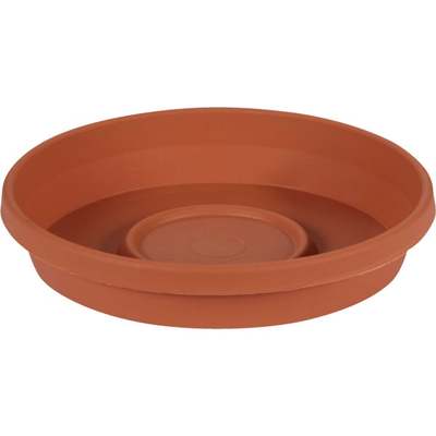 SDC6/TC SAUCER,6"