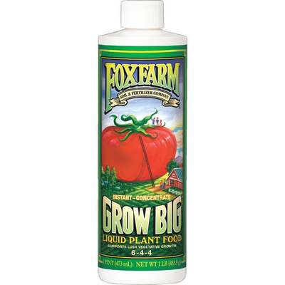 1PT GRWBIG PLANT FOOD