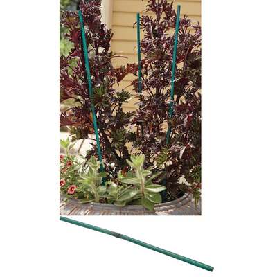 3' BAMBOO STAKE
