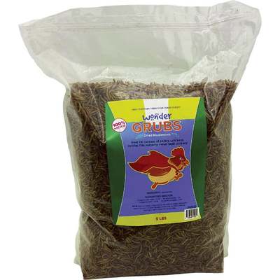 DRIED MEALWORMS 5LB