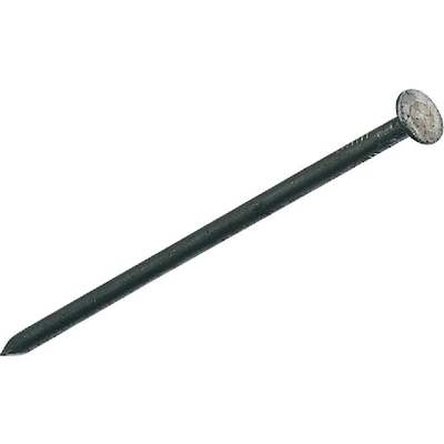 1LB 8D BRT BOX NAIL