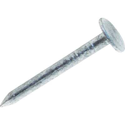 5LB HDG 1-3/4" ROOF NAIL