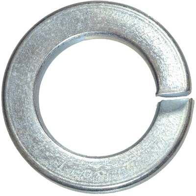 100PC 5/16" LOCK WASHER