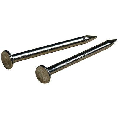 1x16 Wire Nail