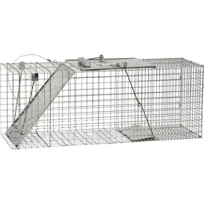 EASY SET LIVE RACCOON TRAP 32"