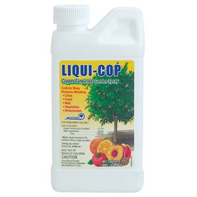PT LIQUI-COP FUNGICIDE