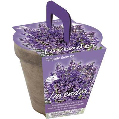LAVENDER GROW KIT