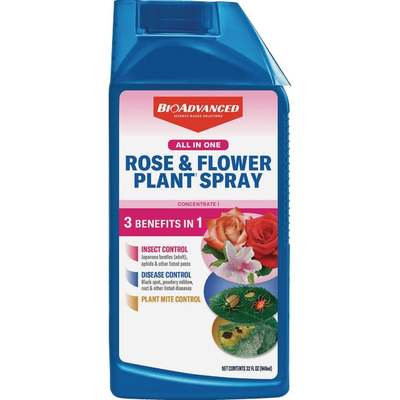 32OZ CONC RSE&FLWR SPRAY