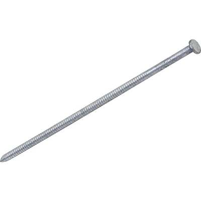 Grip-Rite 20d x 4 In. 7 ga Bright Ring Shank Pole Barn Nails (1750 Ct., 50