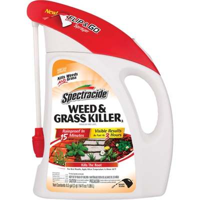 64OZ RTU WD/GRASS KILLER