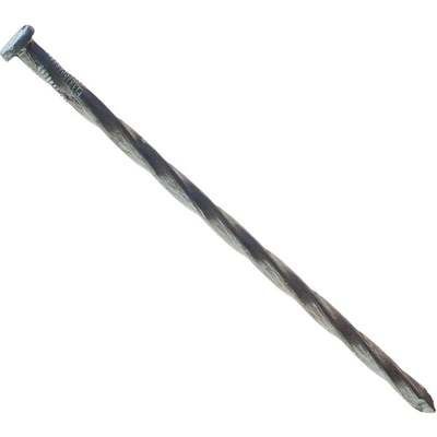 12PC HG 10"LNDSCP SPIKE