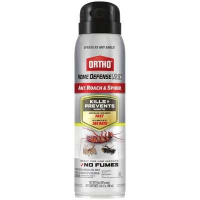 14OZ HD ANT/ROACH KILLER