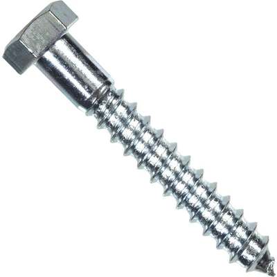 *5/16"x1" LAG SCREW
