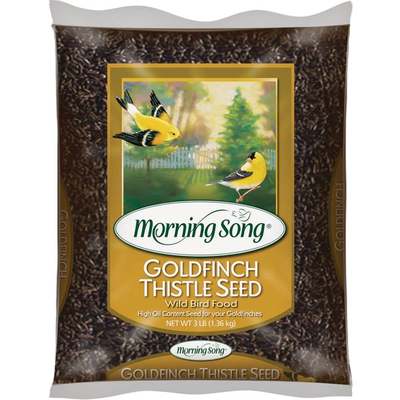 Morning Song 3 Lb. Nyjer Seed Wild Goldfinch Food