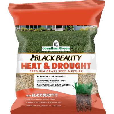 3LB HEAT & DROUGHT SEED