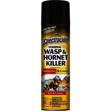 Wasp & Hornet Foaming Spray