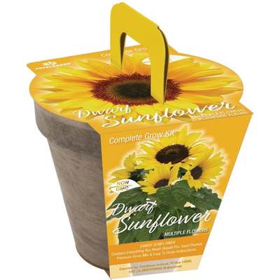 SUNFLOWER GROW KIT