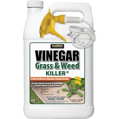 WEED KILLER VINEGAR 20% 1G