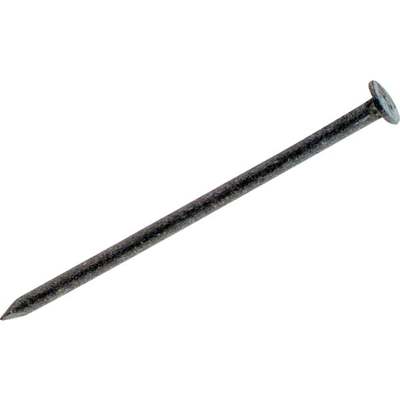 1lb 12D Galv Box Nail