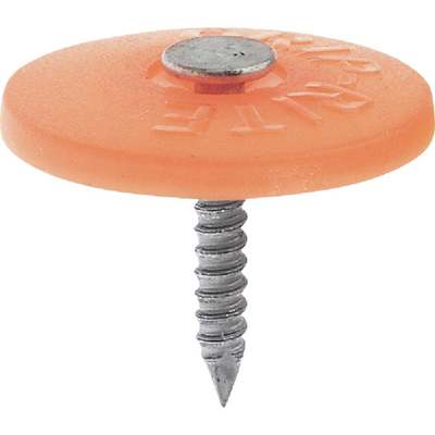 100CT 3" PLAS CAP NAIL