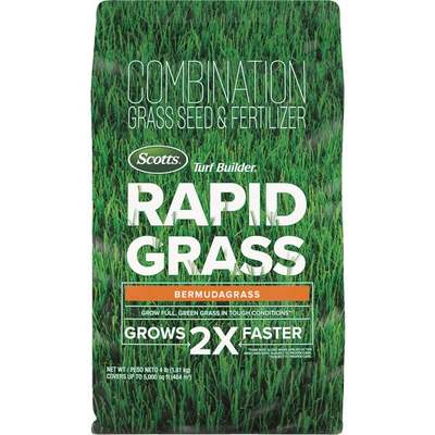 4LB BERMUDA RPDGRS SEED