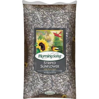 4LB STRPD SUNFLOWER SEED