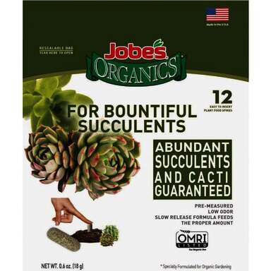 12CT SUCCULENT SPIKES