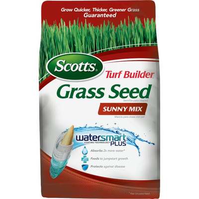 3LB TB SUNNY GRASS SEED