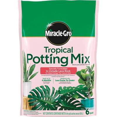 6QT TROPICAL POT MIX