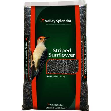 4# STRPD SUNFLOWER SEED