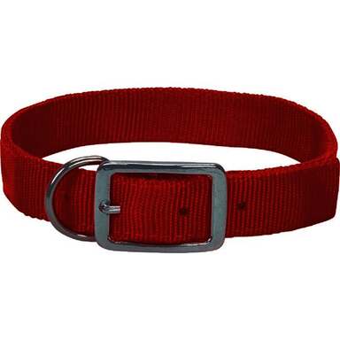 1"X21" NYLN HUNT COLLAR